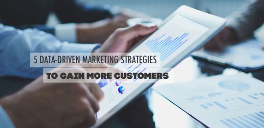 5-Data-driven-Marketing-Strategies-to-Gain-more-Customers