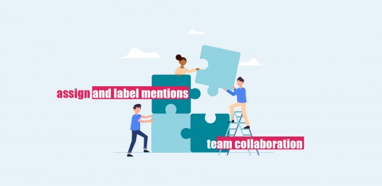 Effective team collaboration feature to assign and label mentions with Mentionlytics