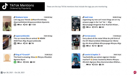 TikTok monitoring report by Mentionlytics