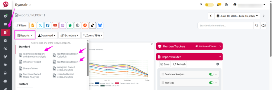 media monitoring reports available in mentionlytics