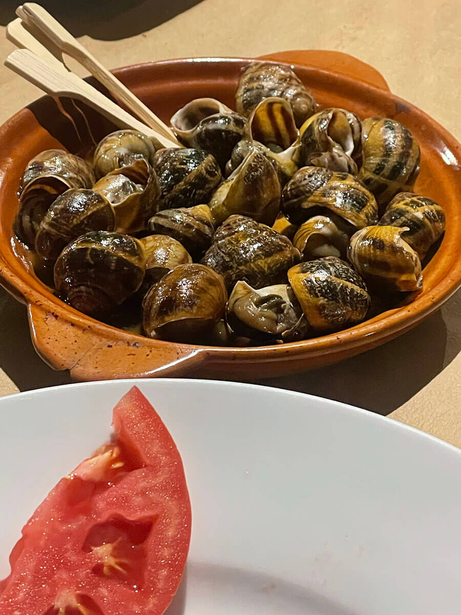Snails in Crete