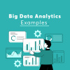 Big Data Analytics Examples