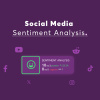 Social Media Sentiment Analysis