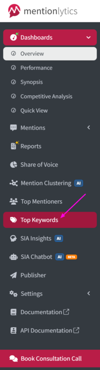 Top keywords feature on Mentionlytics