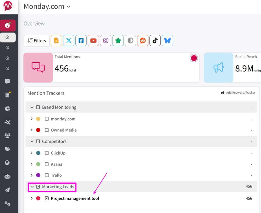 Screenshot of marketing leads keywords example in Mentionlytics