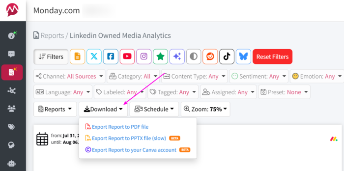 Screenshot of export options in Mentionlytics reports