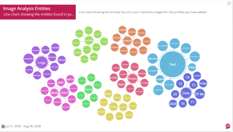 example of image entity analysis in social listening report