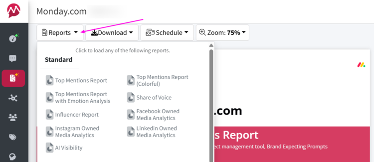 Screenshot of the social listening reports selection in Mentionlytics 