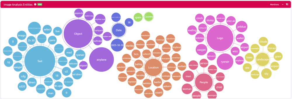 Example of Image Entities AI Analysis in custom dashboards