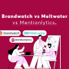 Brandwatch vs Meltwater vs Mentionlytics