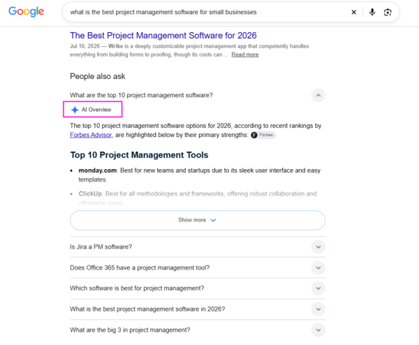 AI Overview in People Also Ask example